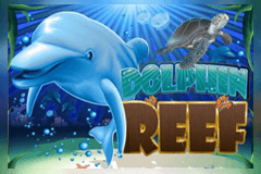 Dolphin Reef slot
