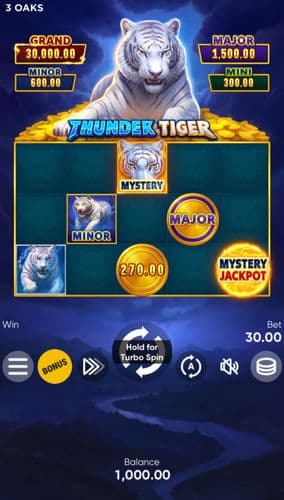 Thunder Tiger screenshot 1