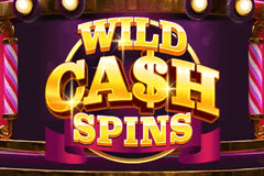 Wild Cash Spins slot