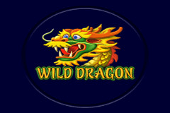 Wild Dragon slot