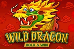 Wild Dragon Hold & Win logo