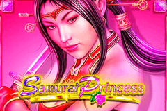 Samurai Princess slot
