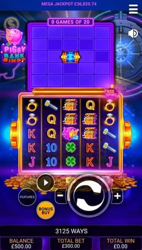 Piggy Bank Bingo screenshot 1
