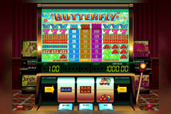 Butterfly slot