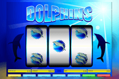 Dolphins slot