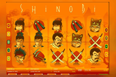 Shinobi slot