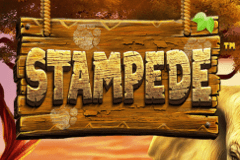 Stampede slot