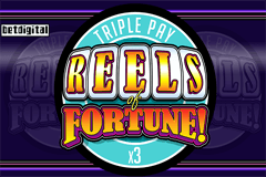 Reels of Fortune slot