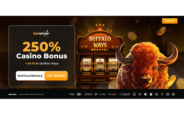 Betwhale screenshot