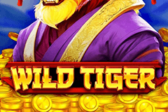 Wild Tiger slot