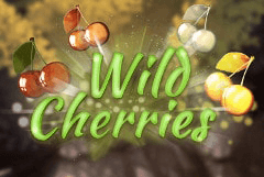 Wild Cherries slot