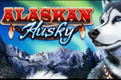 Alaskan Husky slot