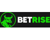 BetRise Casino logo
