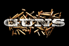 Guns slot