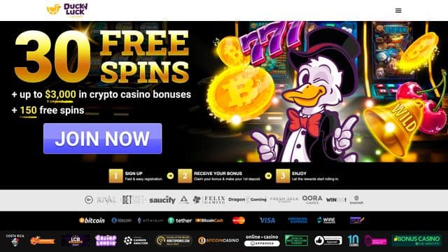 Ducky Luck screenshot