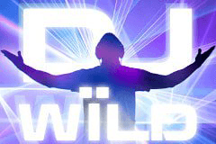 DJ Wild slot