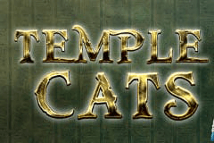 Temple Cats slot