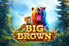 Big Brown slot