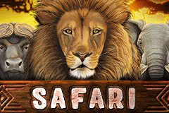 Safari slot