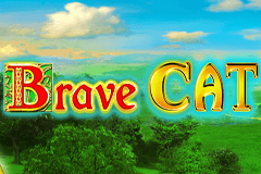 Brave Cat slot