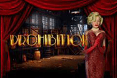 Prohibition slot