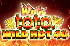 Toto Wild Hot 40 slot