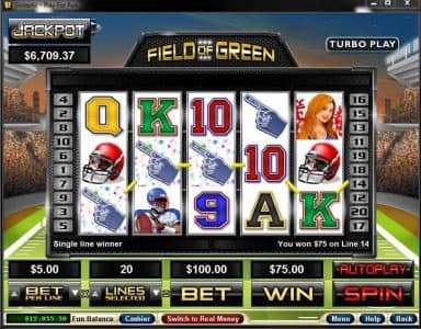 Field of Green screenshot 1