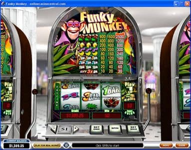 Funky Monkey screenshot 1