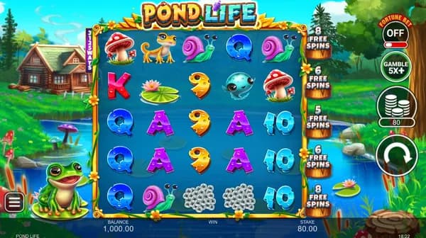 Main Screen