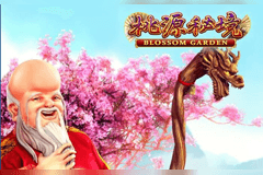 Blossom Garden slot