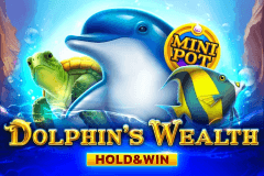 Dolphin's Wealth Hold & Win logo