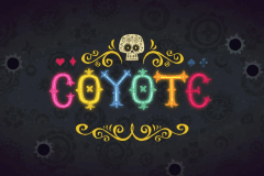 Coyote slot
