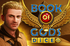 Book of Gods Dice slot