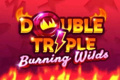 Double Triple Burning Wilds logo