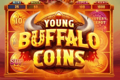 Young Buffalo Coins slot