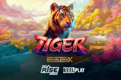 Tiger DoubleMax slot