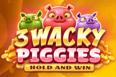 3 Wacky Piggies Hold and Win logo