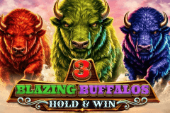 3 Blazing Buffalos: Hold & Win slot