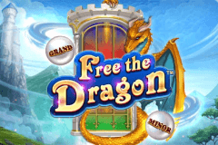 Free the Dragon logo