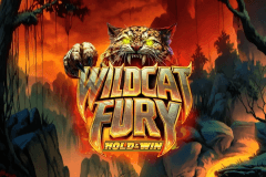 Wildcat Fury logo