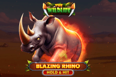 Blazing Rhino Hold & Hit slot