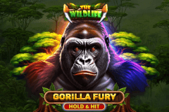 Gorilla Fury Hold & Hit slot