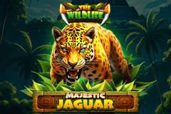 Majestic Jaguar slot