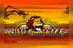 Wild Gambler slot