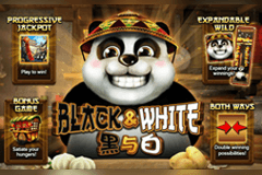 Black & White slot