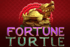 Fortune Turtle slot