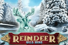 Reindeer Wild Wins slot