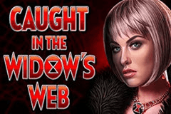Caught in the Widow's Web slot
