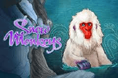 Snow Monkeys slot