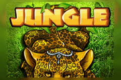 Jungle slot
